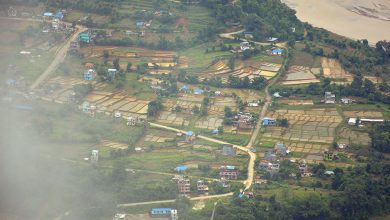 Photo of मधेशमा ९१ दशमलव ५५ प्रतिशतमा क्षेत्रफलमा रोपाइँ सम्पन्न