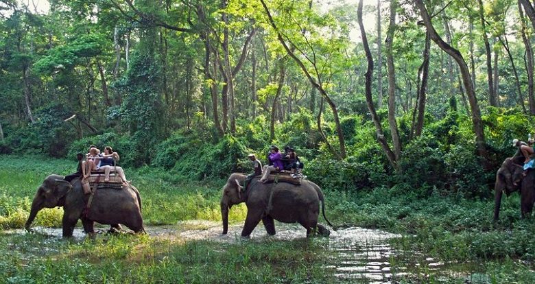 आजदेखि निकुञ्जमा व्यावसायिक सफारी सेवा बन्द आजदेखि निकुञ्जमा व्यावसायिक सफारी सेवा बन्द