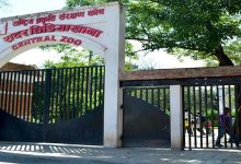 Photo of बर्डफ्लु सङ्क्रमणपछि जावलाखेल चिडियाखाना दुई साताका लागि बन्द