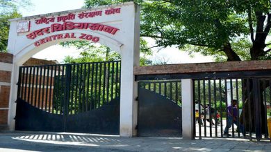 Photo of बर्डफ्लु सङ्क्रमणपछि जावलाखेल चिडियाखाना दुई साताका लागि बन्द
