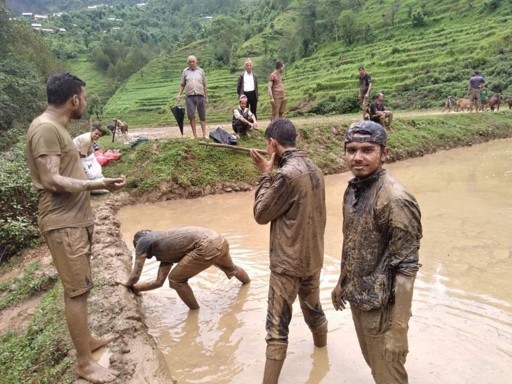 आज असार १५ तथा धान दिवस नेपाल टेलिभिजन