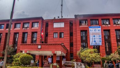 Photo of निपा भाइरस नेपालमा फैलिन नदिन भारतसँगका सीमा नाकाहरूमा निगरानी बढाइँदै