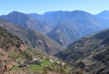 Photo of वन्यजन्तु पीडित किसानलाई ३८ लाख रुपैयाँ बढी राहत