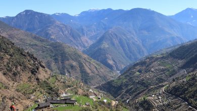 Photo of वन्यजन्तु पीडित किसानलाई ३८ लाख रुपैयाँ बढी राहत