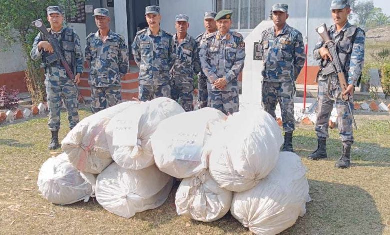 सप्तरीबाट २ सय ४० किलो लागूऔषध गाँजा बरामद