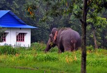Photo of मानव–वन्यजन्तु द्वन्द्व न्यूनीकरण गर्न पूर्वसूचना प्रणाली जडान