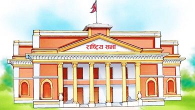 Photo of छानबिन गर्न गठित आयोगको प्रगतिबारे सदनलाई जानकारी गराउन माग