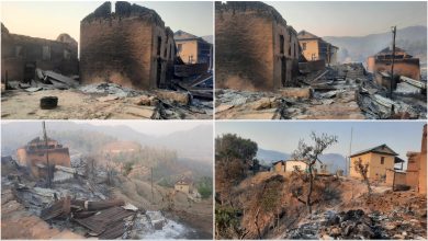 Photo of जंगलमा लागेको आगो बस्तीमा पस्दा एक जना घाईते १२ घरगोठ जलेर नष्ट