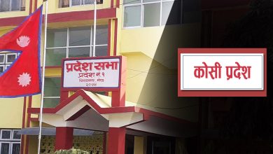 Photo of कोशी प्रदेशको बजेट ४० अर्ब ४४ करोड ९८ लाख
