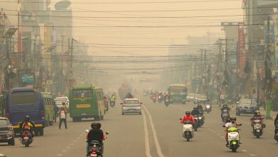 Photo of धुम्म मौसमले उराठलाग्दो पोखरा, पर्यटनमा असर