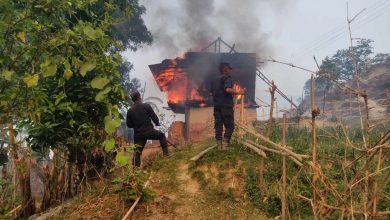 Photo of सोलुखुम्बुमा डढेलोले दश घर जले, दर्जनौँ पशुचौपाया हताहत