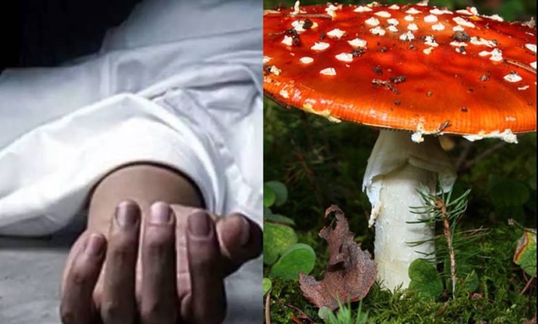 पाल्पामा जंगली च्याउ खाँदा २ जनाको मृत्यु, २ जनाको अवस्था गम्भीर पाल्पामा जंगली च्याउ खाँदा २ जनाको मृत्यु, २ जनाको अवस्था गम्भीर