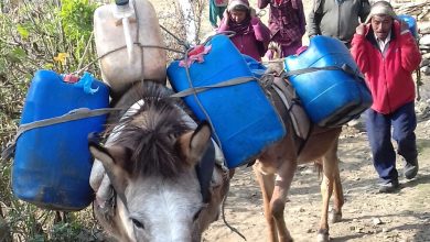 Photo of दूध उत्पानमा आत्मनिर्भर बन्यो काभ्रे