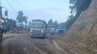 Photo of शितलहरका कारण पूर्वपश्चिम राजमार्गको दाउन्ने खण्डमा समस्या