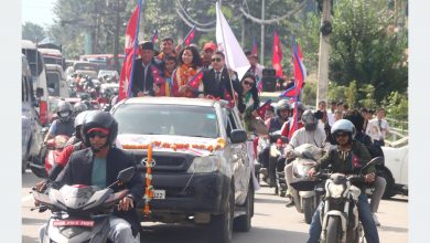 Photo of पलेशालाई नगर परिक्रमा गराइँदै, विमानस्थलमा भव्य स्वागत – फोटो फिचर