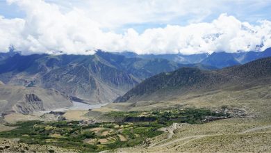 Photo of फल्याक गाउँ र निलगिरी हिमाल