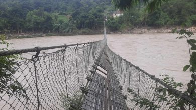 Photo of अविरल वर्षाले त्रिशूली नदीका झोलुङ्गे पुलहरूमा क्षति