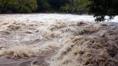 Photo of मधेस प्रदेशमा बाढीबाट मृत्यु हुनेको सङ्ख्या आठ पुग्यो