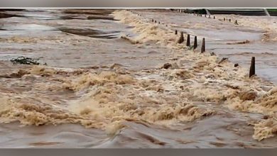 Photo of सप्तकोशीको बाढीका कारण श्रीलङ्का टापुमा ३४ अलपत्र