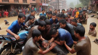 Photo of बनस्थली ढुङ्गेधारा स्थित खोलामा मोटरसाइकल खस्दा चालक बेपत्ता