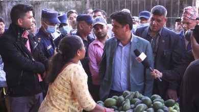 Photo of सरकारले तरकारी र फलफूलको बजार मूल्य निर्धारण गर्ने