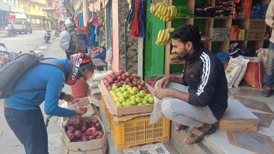 Photo of दसैँलाई कोसेली मुस्ताङी स्याउ