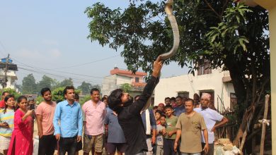 Photo of जनचेतना जागृत गर्दै नेपाल र भारतका सर्प उद्धार कर्मीहरू