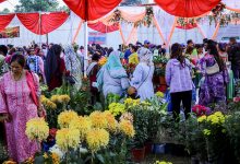 Photo of गोदावरी पुष्पमेला : तीन दिनमा ९० लाखको कारोबार