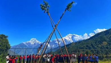 Photo of शहरमा सुनसान,दशैंमा गाउँ नै रमाइलो