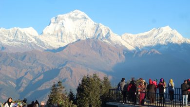 Photo of अन्नपूर्ण आधार शिविर आन्तरिक पर्यटकको रोजाइमा (फोटो फिचर)