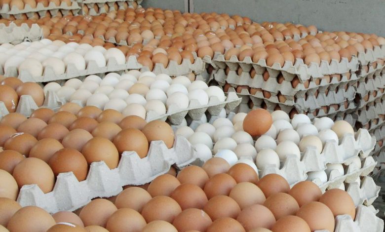 अण्डाको मूल्यमा भारी गिरावट – सार्वजनिक सेवा प्रसारण संस्था