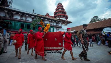 Photo of आश्विन शुक्ल सप्तमीमा फूलपाती भित्र्याइँदै