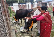 Photo of राष्ट्रपति पौडेलबाट गाई पूजा