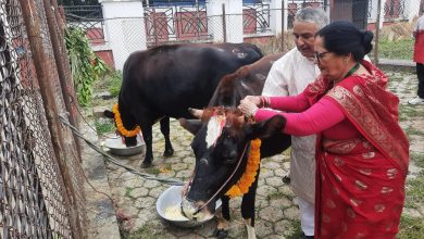 Photo of राष्ट्रपति पौडेलबाट गाई पूजा