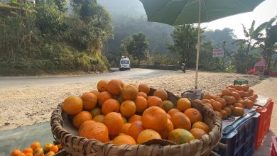 Photo of सिद्धार्थ राजमार्ग सुन्तलाले पहेँलै (फोटो फिचर)