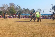 Photo of चितवन हात्ती तथा पर्यटन महोत्सव : पेनाल्टी सुट आउटमा वसन्तीकलीले सेल्फीकलीलाई हरायो