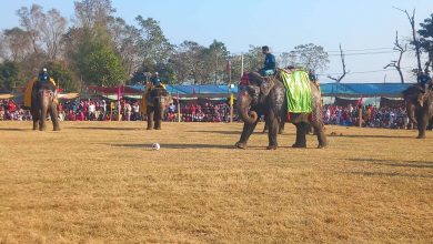 Photo of पेनाल्टी सुट आउटमा वसन्तीकलीले सेल्फीकलीलाई हरायो – फोटो फिचर