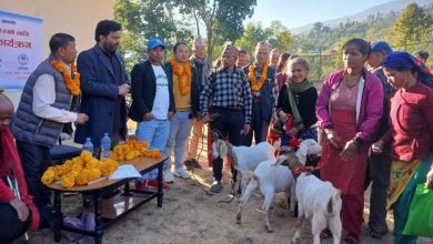 Photo of अपाङ्गता पुनर्स्थापना कार्यक्रम :अशक्तलाई बाख्रा हस्तान्तरण