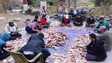 Photo of प्रसिद्ध दुप्चेश्वर मेलामा भक्तजनले चढाएको भेटी गणना