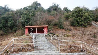 Photo of टोड्केमा पर्यटकलक्षित पार्क बन्यो, पुगेनन् पर्यटक