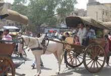 Photo of टाँगाले वीरगञ्जको ट्राफिक व्यवस्थापनमा चुनौती थप्दै