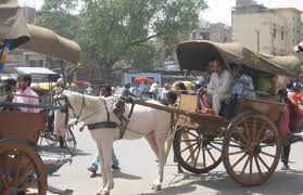 Photo of टाँगाले वीरगञ्जको ट्राफिक व्यवस्थापनमा चुनौती थप्दै