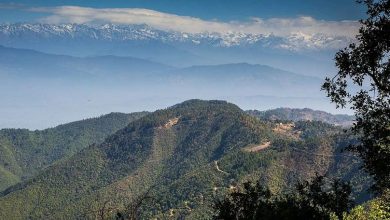 Photo of फूलचोकी जङ्गलमा हराएका १३ जना प्रहरी सम्पर्कमा