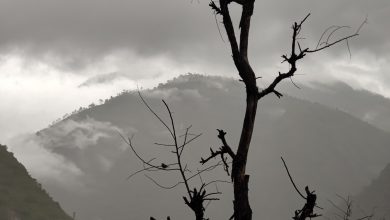 Photo of सुदूरपश्चिमबाट मौसम बदली सुरु, चिसो बढ्न थाल्यो