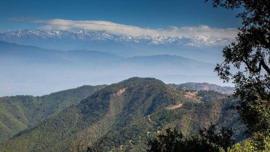 Photo of फुलचोकीमा हराएका १३ जनाको खोजी कार्य जारी