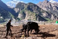 Photo of कृषि कर्मका लागि मनाङ: अब दुर्गम हैन सुगम