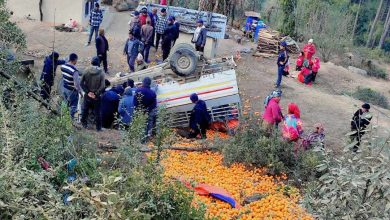 Photo of रोल्पामा सुन्तला बोकेको जीप दुर्घटना: चालकको मृत्यु, तीन जना घाइते