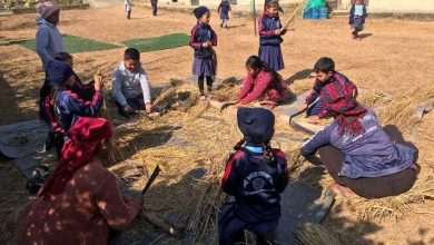 Photo of गोरखाका सामुदायिक विद्यालयमा च्याउखेती