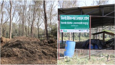 Photo of पातपतिङ्गरबाट जैविक मल उत्पादन, प्रतिकेजी २५ रुपैयाँका दरले विक्री