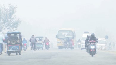 Photo of हुस्सु, कुहिरो र शीतलहरवाट तराइ मधेशका जिल्लाहरुको जनजीवन प्रभावित